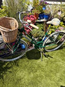 womens  bike