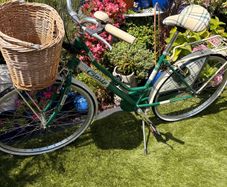 womens  bike