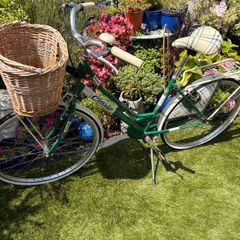 womens  bike