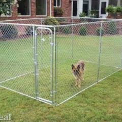 Large petsafe Dog run