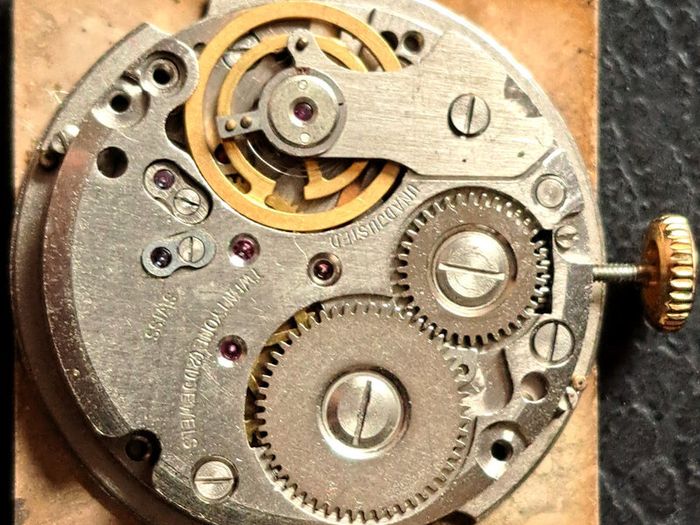 Packard Gents Wristwatch - 1940/50s