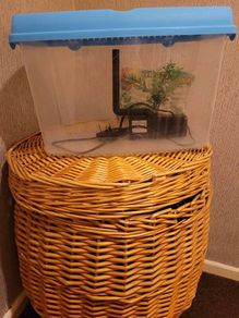 fish tank
