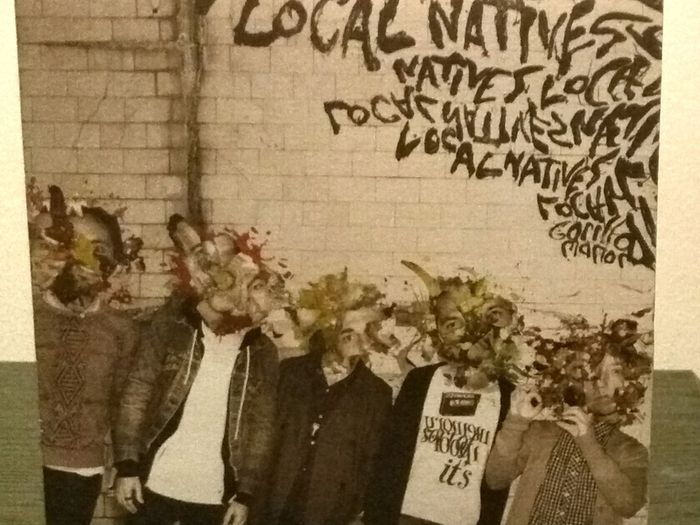 Local Natives  Gorilla Manor  CD Album