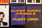 Super Furry Animals - various CDs