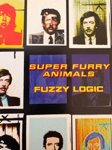 Super Furry Animals - various CDs