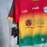 GAA carlow jersey Image 3