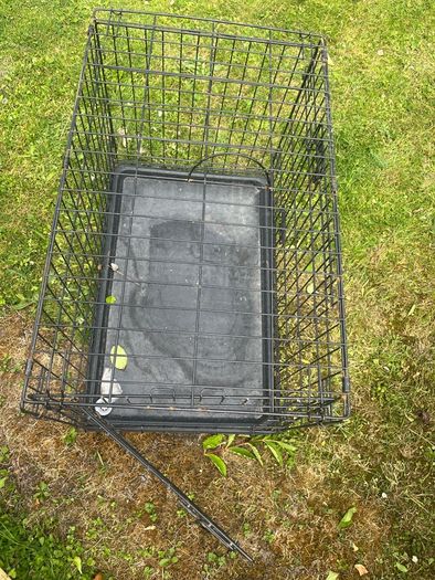dog cage