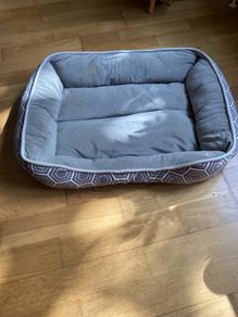 Dogs Bed
