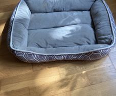 Dogs Bed