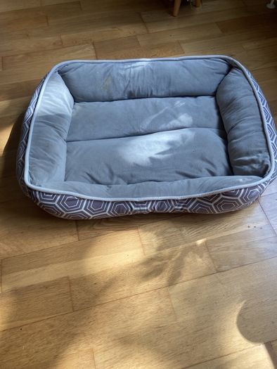 Dogs Bed