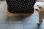 Anti stress dog crate cover fits medium crate.