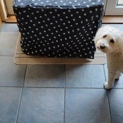 Anti stress dog crate cover fits medium crate.