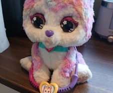 Hope the Rainbow Husky