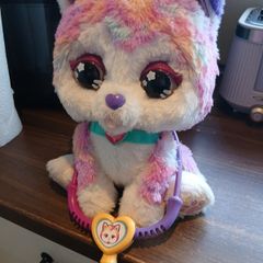 Hope the Rainbow Husky