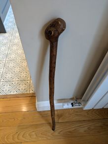 Walking stick