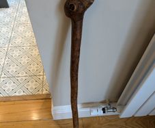 Walking stick