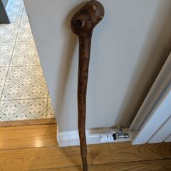 Walking stick