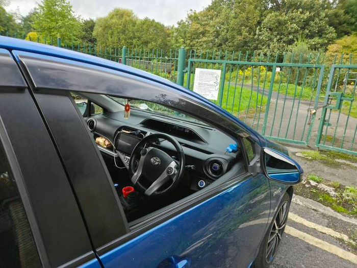 2014 Toyota Aqua