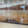 Large Embellished Tree Wall Art Image 8