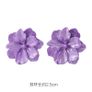 Earrings Image 7