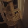 cat tree Image 2