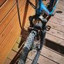 bike Image 3