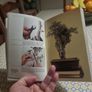Indoor Bonsai .Softcover.  Paul Lesniewicz Image 7
