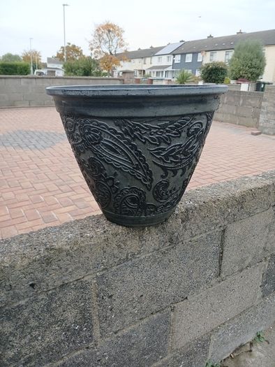 large plant pots