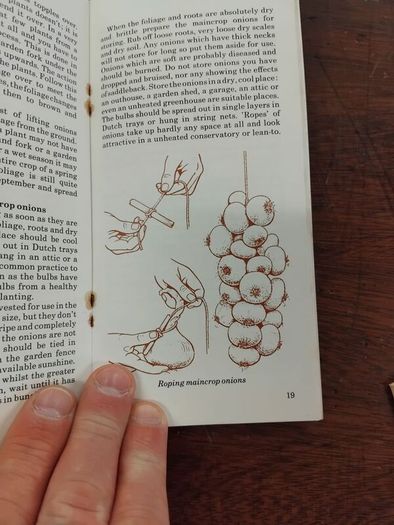 4 Letts Grow 1970s Books