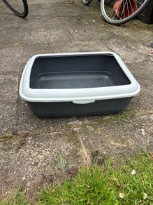 litter box