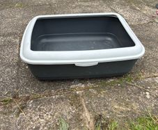 litter box