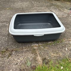 litter box