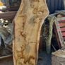 hardwood Image 8