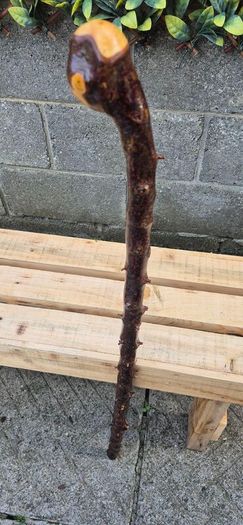 blackthorn walking stick