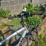 Bianchi hybrid bike Image 4