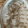 Vintage Majolica Sweetcorn Platter Image 5