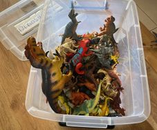 box of dinosaurs
