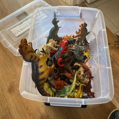 box of dinosaurs