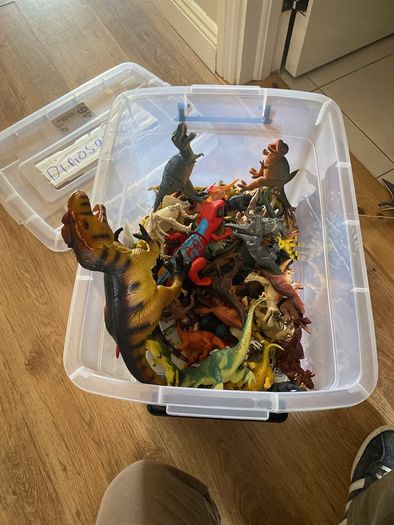 box of dinosaurs