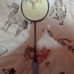 Li-ning Axforce 90 Dragon