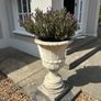Garden pots Image 4