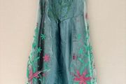 Girls Disney Frozen Elsa fancy dress costume