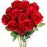 Redflower2