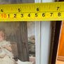 Vintage Framed Print - Puppy Love - by Charles Burton Barber (1836-1893) Made in England Image 4