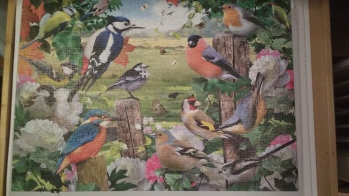 Country Birds jigsaw puzzle 1000 pcs