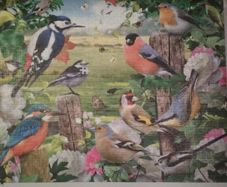 Country Birds jigsaw puzzle 1000 pcs