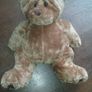 Teddy Bear Image 2