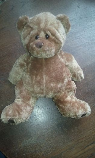 Teddy Bear