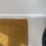 rug Image 2