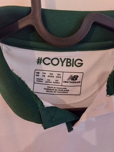 ireland jersey
